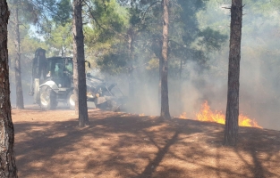 Kadirli Sülemiş Tepesi'nde orman yangını