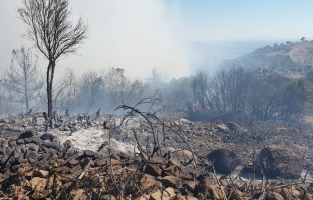 Osmaniye'nin Sumbas ilçesinde orman yangını