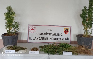Osmaniye'de uyuşturucu operasyonu: 2 gözaltı