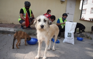 Osmaniye'de 'Sokak Hayvanları için Bisikletli Besleme' etkinliği