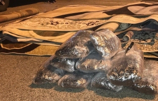 Osmaniye'de büyük uyuşturucu operasyonu: 29 kilo esrar ele geçirildi