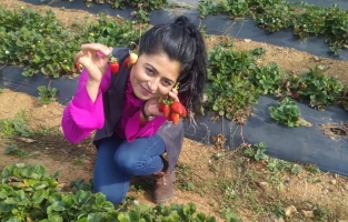 İFAD, Osmaniye'de 5 kadın çiftçinin projesini kabul etti