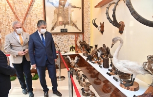 Günlük hayatta göremeyeceğimiz pek çok hayvan türünün tahniti sergileniyor