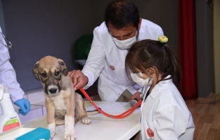 Çocuklar yavru köpeğin kalbini dinledi