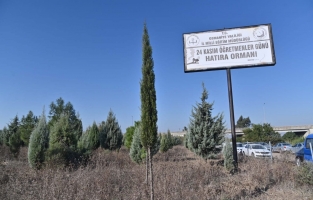 24 Kasım Öğretmenler Günü Hatıra Ormanı'na yeni fidanlar dikildi