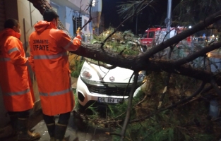 Osmaniye'de fırtına ve yağış hayatı olumsuz etkiledi