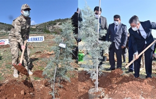 Osmaniye'de 112 Günü'nde 112 fidan dikildi