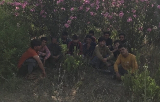 Osmaniye'de 25 yasadışı göçmen yakalandı