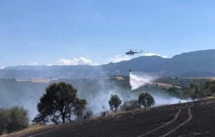 Osmaniye'de 400 dönüm buğday ve arpa ekili alan yandı