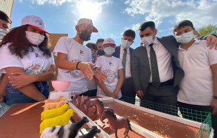 Bahçe Cansan Ortaokulu'nda TÜBİTAK Bilim Fuarı düzenlendi