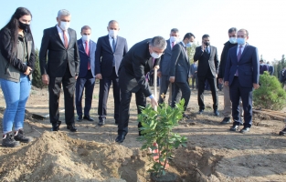 24 Kasım Öğretmenler Günü Hatıra Ormanına 50 fidan dikildi