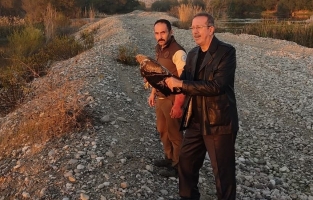 Tedavi edilen yavru kartal, doğaya salındı