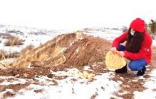 Soğuk kış aylarında sokak hayvanları için yapabileceğiniz 5 iyilik