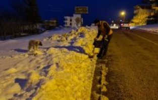 Hasanbeyli'de can dostlarımız unutulmadı, sahip çıkıldı
