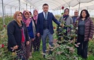 Mustafa İlmeç'ten gül üretimi yapılan kadın kooperatifine ziyaret