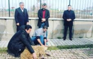 Osmaniyespor FK kurban kesti