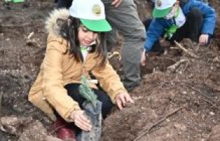 Osmaniye'de geçen yıl yanan ormanlık alana 1000 fidan dikildi