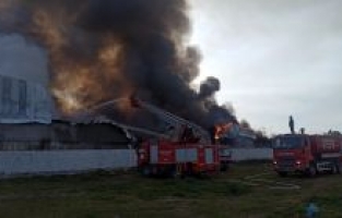 Osmaniye'de Geri Dönüşüm Fabrikasında yangın çıktı