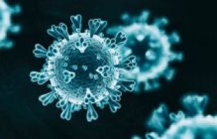 Osmaniye'de vaka sayısı yüzde 52 düştü