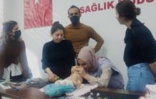 Osmaniye'de yenidoğan canlandırma uygulayıcı eğitimi düzenlendi