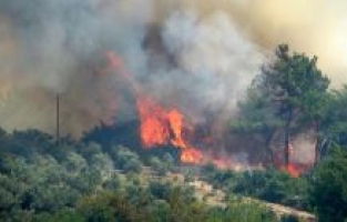 Osmaniye'de zarar gören üreticilere "Yangın Afet Ödemesi"