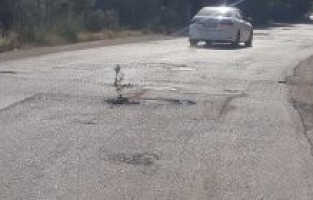 Sonunda bu da oldu: Yola ağaç diktiler