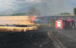 Ekili 40 dekar buğday tarlası yandı