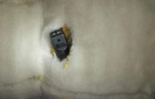 Oyuncak ayıdan silah çıktı!