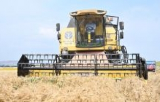 Vali Dr. Erdinç Yılmaz, biçerdöverle buğday hasadı yaptı