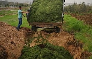 Bitkisel atıklar gübreye dönüştürüldü