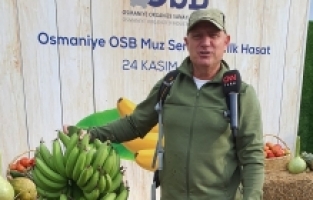 Osmaniye OSB Muz Serası, Güven İslamoğlu ile Yeşil Doğa’da