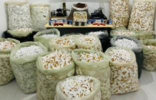 Osmaniye'de kaçakçılık operasyonu