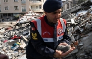 5 günlük yavru kedi enkaz altından sağ olarak kurtarıldı