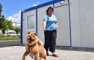 Depremden dakikalar önce köpeklerinin uyandırdığı aile, can dostlarını yanından ayırmıyor