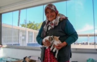 70 yaşındaki kadın 17 yıldır sahipsiz kedilere bakıyor