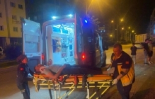 Adana'da şarampole devrilen otomobildeki iki kişi yaralandı