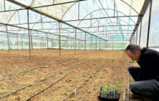 Aksu'da yayla seracılığı artıyor