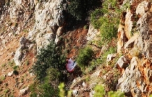 Alanya'da kayalıklara düşen yamaç paraşütü pilotu yaralandı