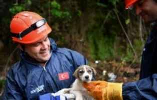 Antalya'da 5 metrelik çukura düşen köpek yavrusu kurtarıldı