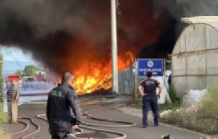 Antalya'da geri dönüşüm deposunda çıkan yangın seralara sıçradı