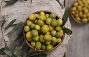 “Hatay Halhalı zeytini“ coğrafi işaret tescil belgesi aldı