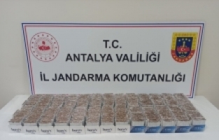 Kemer'de kaçak sigara ve tütün operasyonu