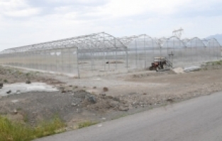 Osmaniye Belediyesi çiçek üretim serasında sona gelindi