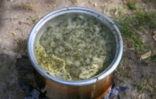 Osmaniye'de keşfedilen tirşik otunun yeni türü literatüre kazandırıldı