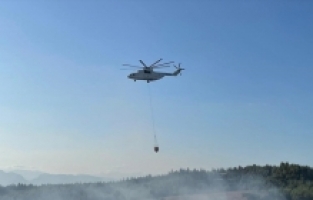 Adana'da çıkan orman yangınına müdahale ediliyor