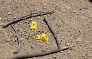 Adana'da eski eşinin silahla vurduğu kadın yaralandı