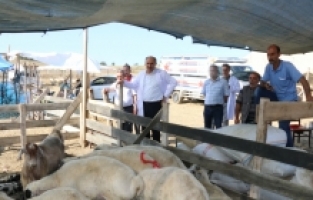Adana'da kurban satış yerlerinde denetim