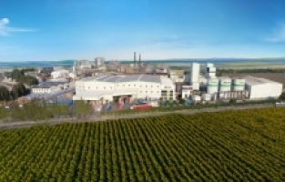 Adana'daki firma, Türkiye'nin ilk 100 ihracatçısı arasında yer almayı hedefliyor