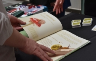 Akdeniz Üniversitesi 2023 yılı mezuniyet sergisi açıldı