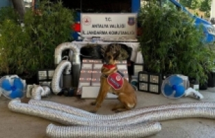 Antalya'da uyuşturucu operasyonlarında 79 şüpheli yakalandı